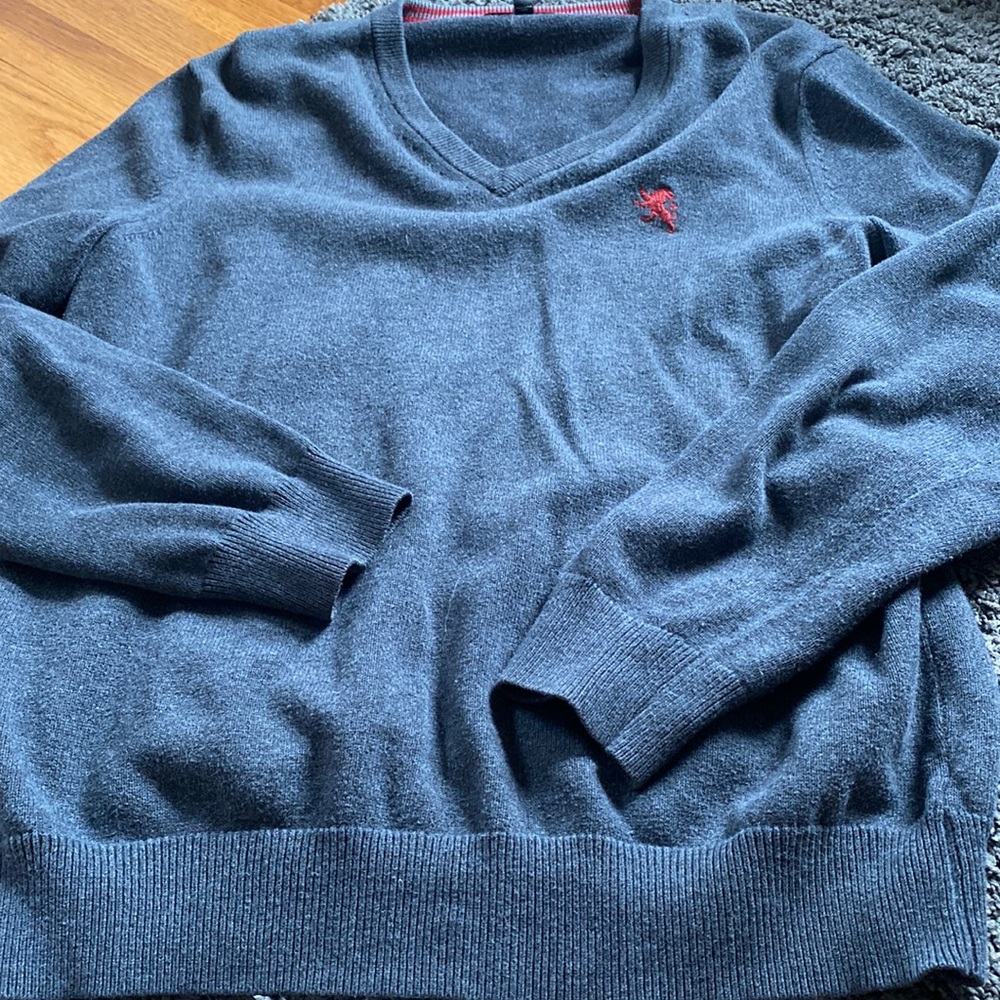 Express grey v neck sweater